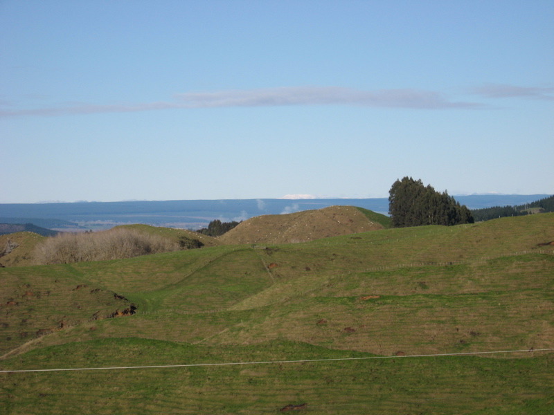WaimanguRoad.jpg